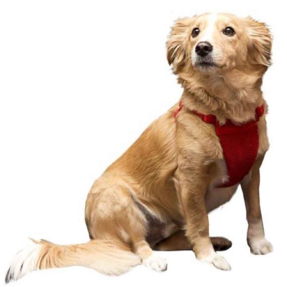 𝅺SPORT comfort harness​​